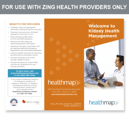 Picture of Zing Provider Brochure
